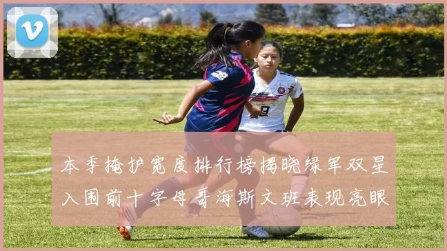 本季掩护宽度排行榜揭晓绿军双星入围前十字母哥海斯文班表现亮眼
